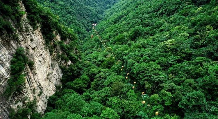 钟南山：清除新冠病毒要靠自身免疫，如何才能提高自身免疫力？游戏画面